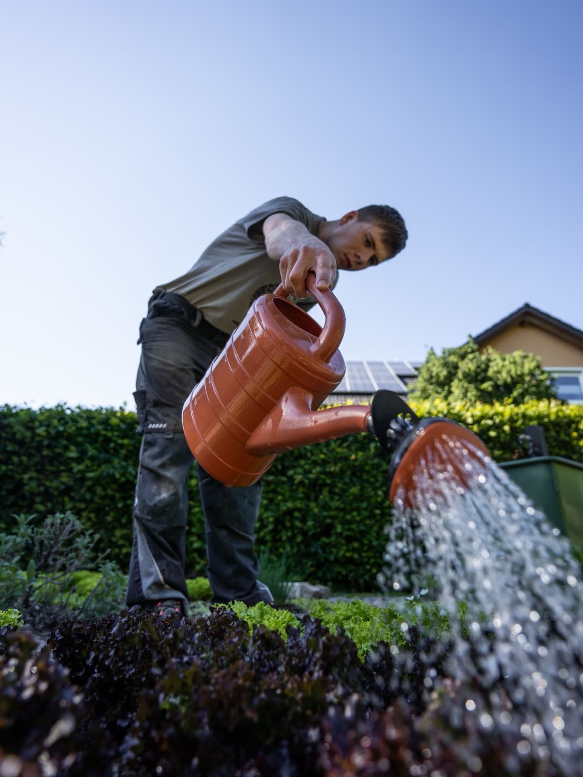 Gardener on site